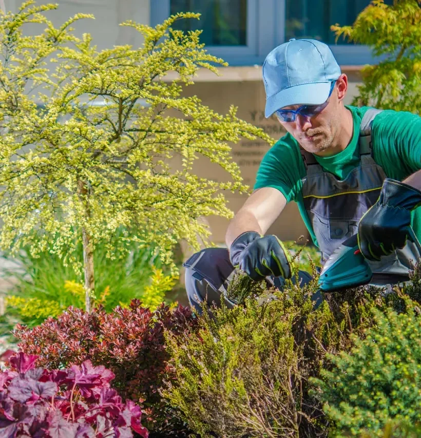 5201669c47f7ec7c909e9568c17c8a9d473bfc5c