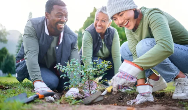 9ce81ec73521b912f96b662858f353e3d62804ee